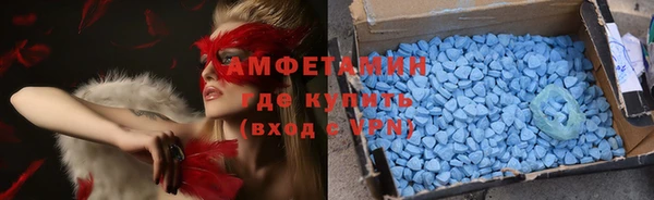 прущие грибы Верхний Тагил