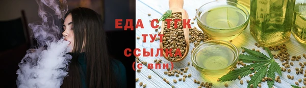 прущие грибы Верхний Тагил