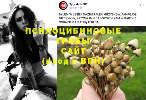 прущие грибы Верхний Тагил
