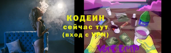 прущие грибы Верхний Тагил