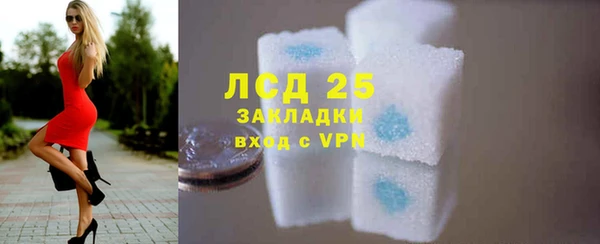 прущие грибы Верхний Тагил
