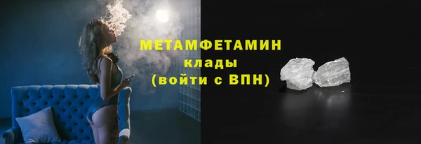 прущие грибы Верхний Тагил