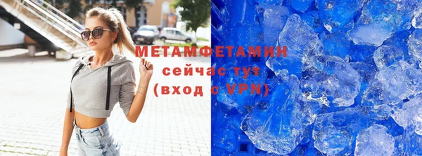 прущие грибы Верхний Тагил