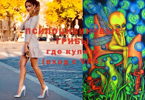 прущие грибы Верхний Тагил