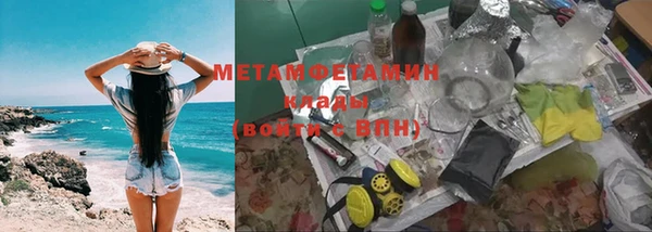 прущие грибы Верхний Тагил
