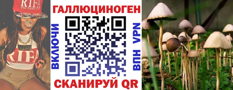 Псилоцибиновые грибы мухоморы  Купить закладки  Райчихинск 